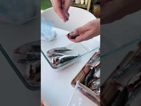Como asar sardinas a la brasa